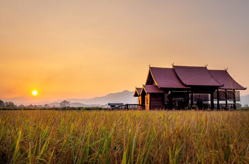 Yoga Retreat Chiang Mai