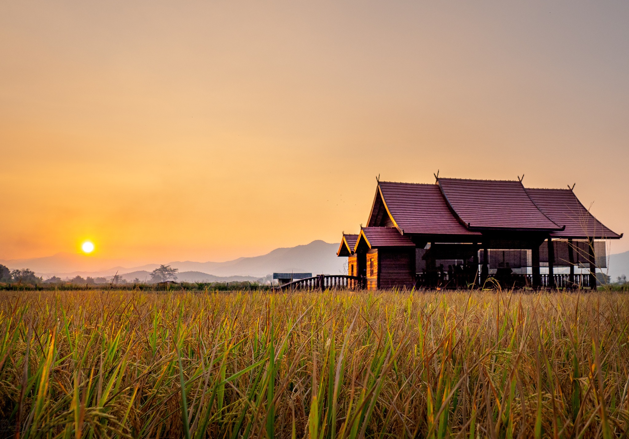 Yoga Retreat Chiang Mai